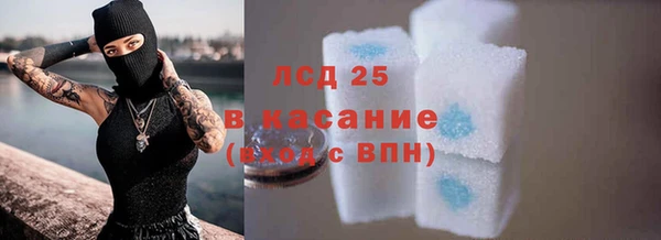 спиды Верея