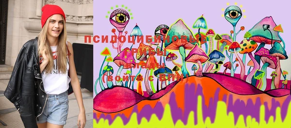 спиды Верея