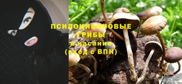 спиды Верея