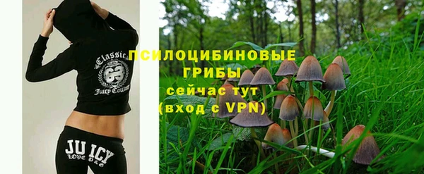 спиды Верея