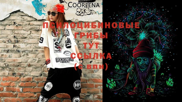 сатива Верхний Тагил