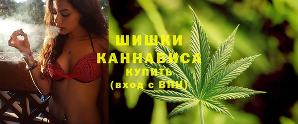 сатива Верхний Тагил