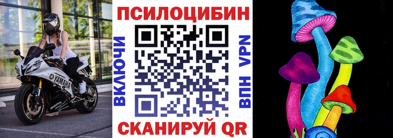Купить закладки  Облучье  Псилоцибиновые грибы прущие грибы 